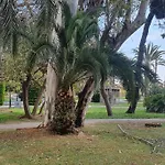 Lejlighed Ecaterina Torrevieja