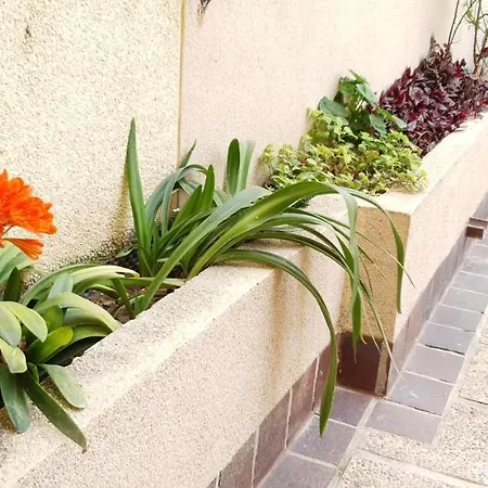 شقة Ecaterina تورّيفيِخا