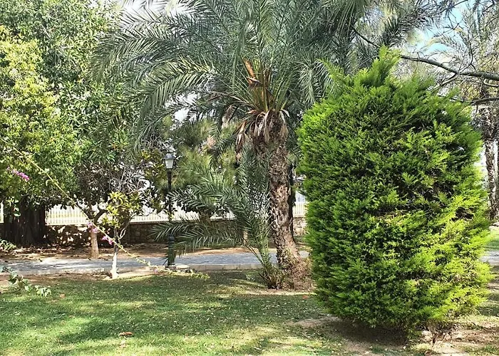 Lägenhet Ecaterina Torrevieja