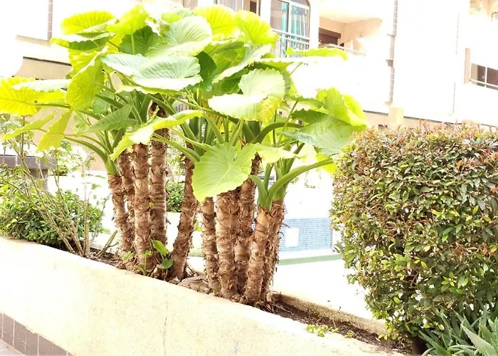 Ecaterina * Torrevieja