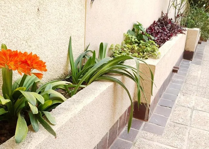 Lägenhet Ecaterina Torrevieja